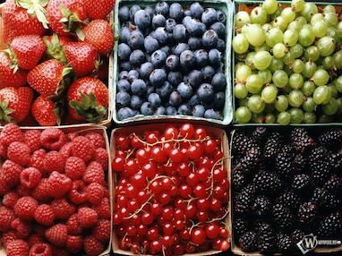 رایحه توت‌های وحشی (Wild Berries)
