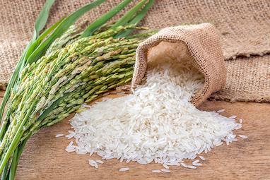 رایحه برنج (Rice)
