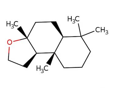 رایحه آمبروفیکس (Ambrofix)